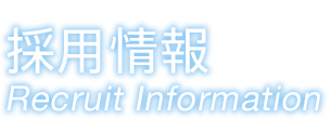 採用情報
